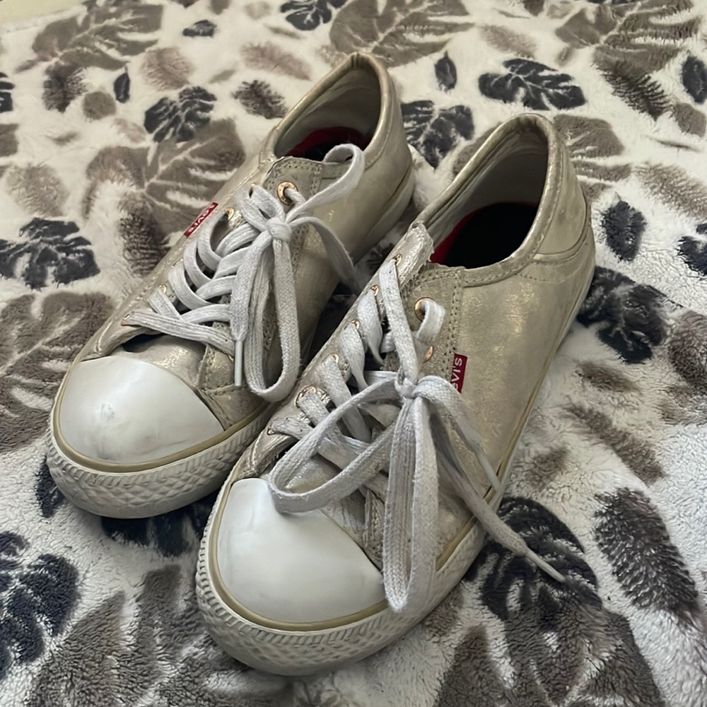 Levi Metallic Shoe